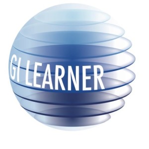 cropped-LogoGIlearner.jpeg